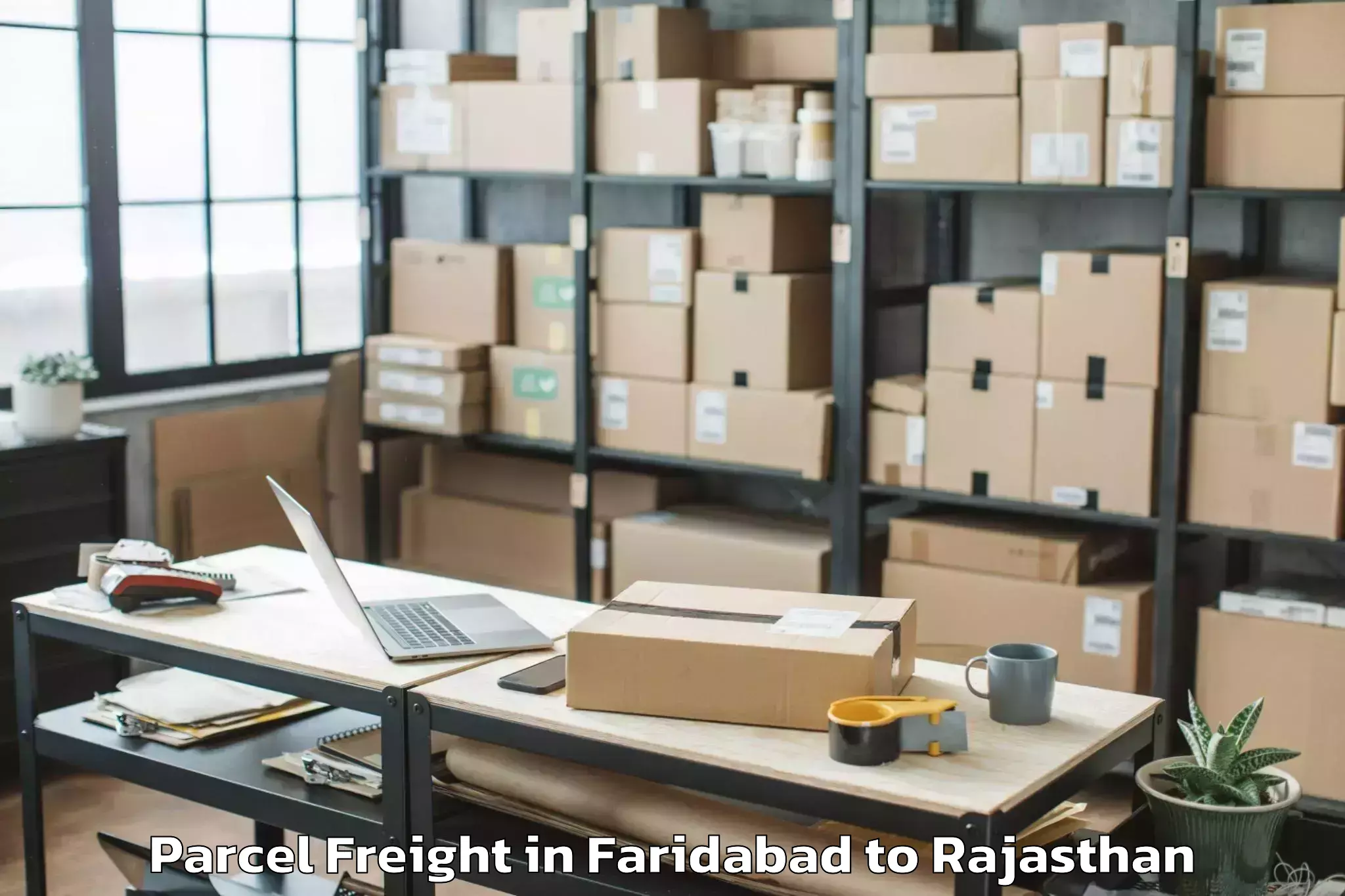 Expert Faridabad to Phalodi Parcel Freight